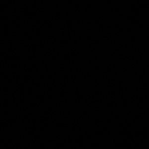 Meet your Posher, Ella